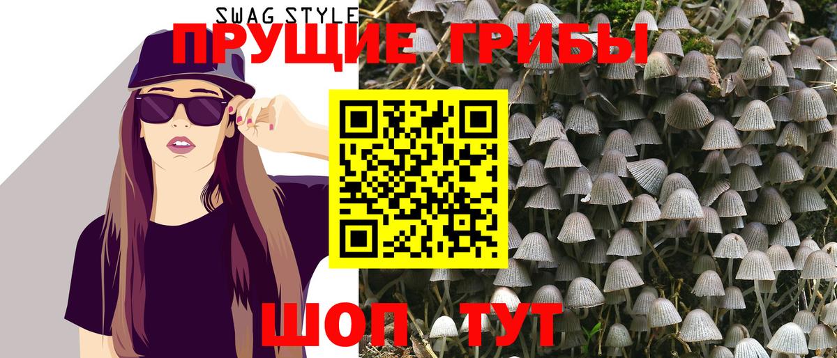 Галлюциногенные грибы Cubensis  Вход с VPN  Стрежевой 
